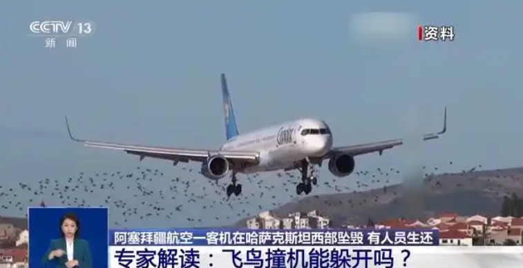 阿塞拜疆航空公司客机坠毁原因是飞鸟撞击？