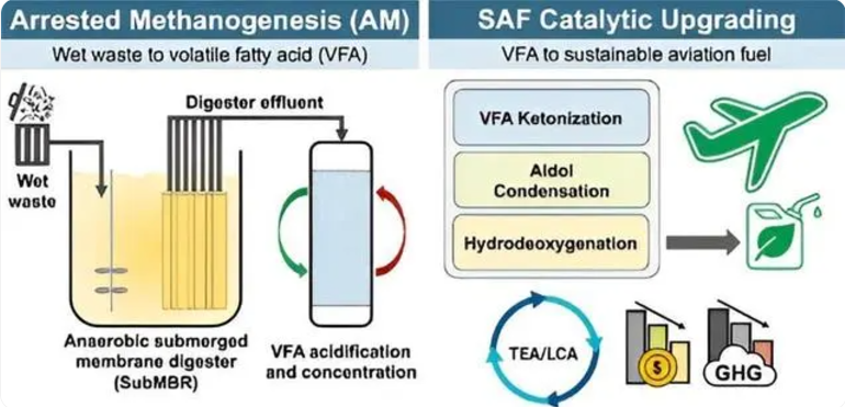 废水能转化为可持续航空燃料
