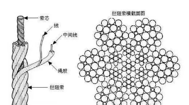 山东舰访港，我却被这根“绳子”圈粉了！