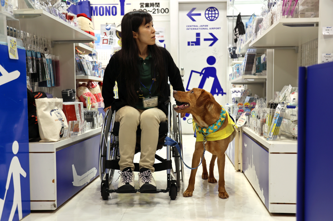 日本中部国际机场开展候补辅助犬训练