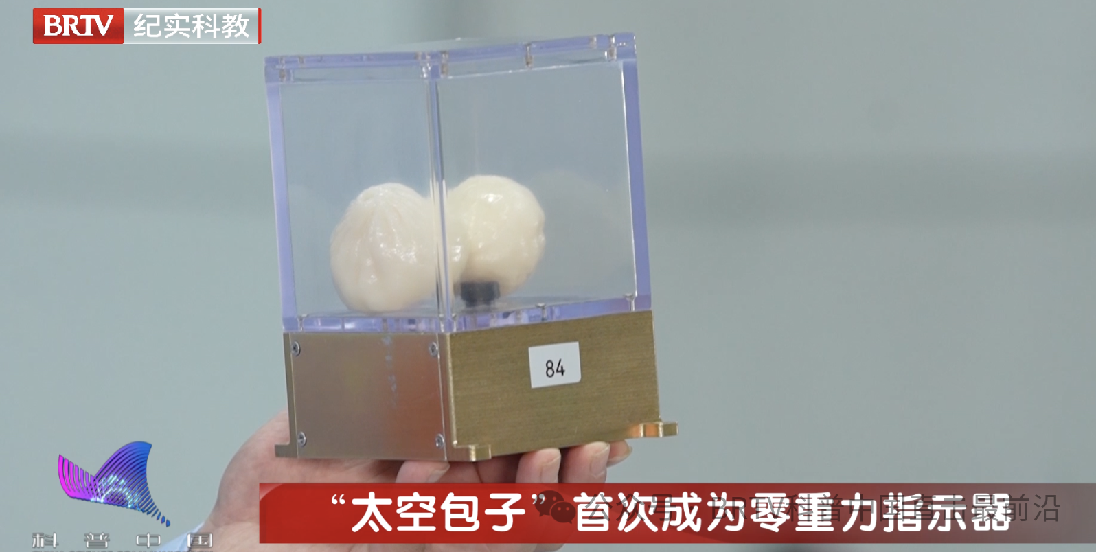 把小笼包送上太空？不是整活，来看中国民营航天的高光时刻！
