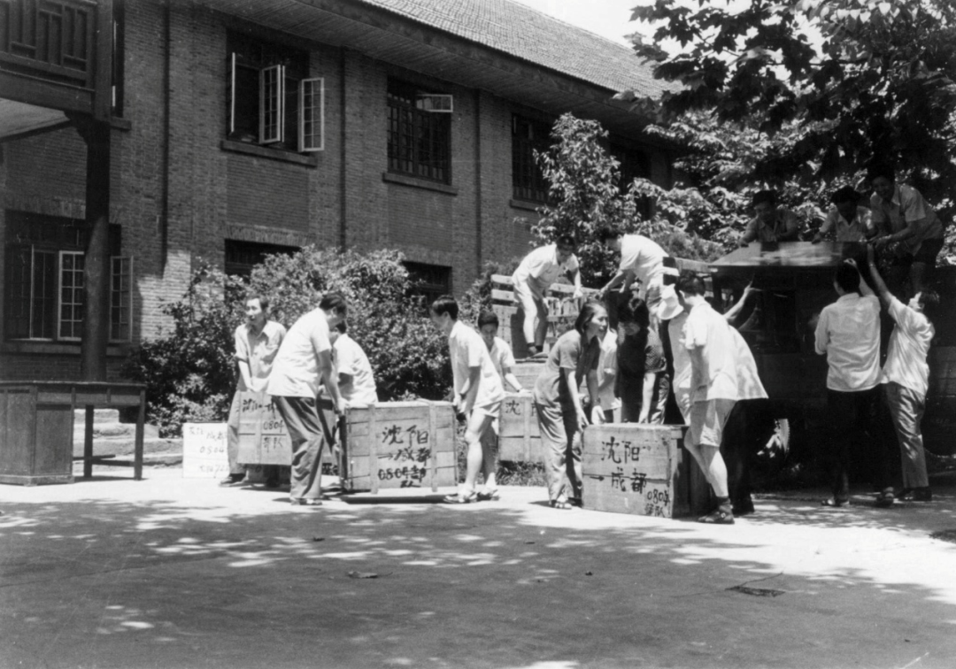 从稻田到云霄，从歼9到歼20和“昊龙”……这是一部跨越50多年的科技自强史诗