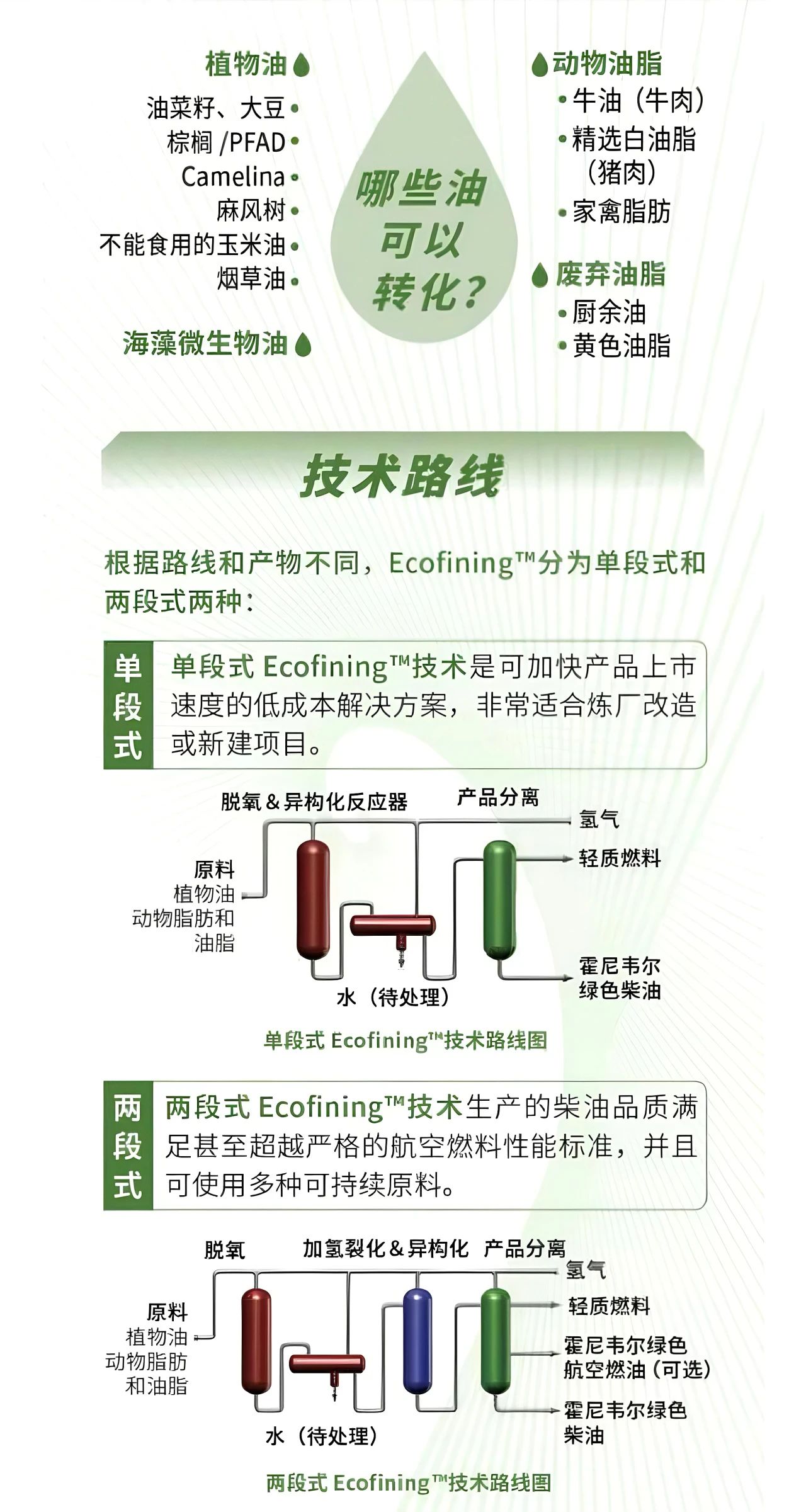 点“废”成金，三种SAF技术路线你PICK哪一种？