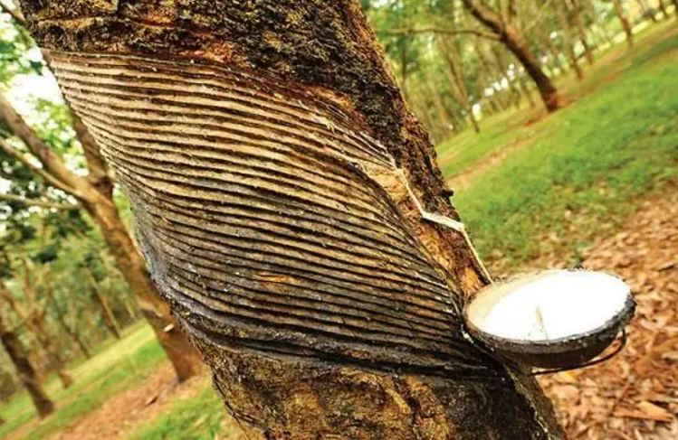 【航化说】破苍穹、飞云端！橡胶材料用实力，在航空航天圈书写“不凡”