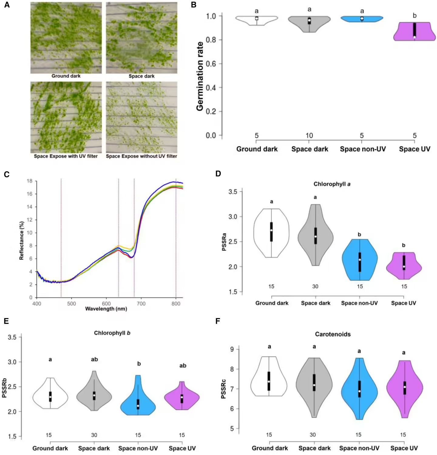 科学界首次确认：苔藓孢子在外太空暴露 9 个月仍存活并繁殖，可耐极端辐射与温度