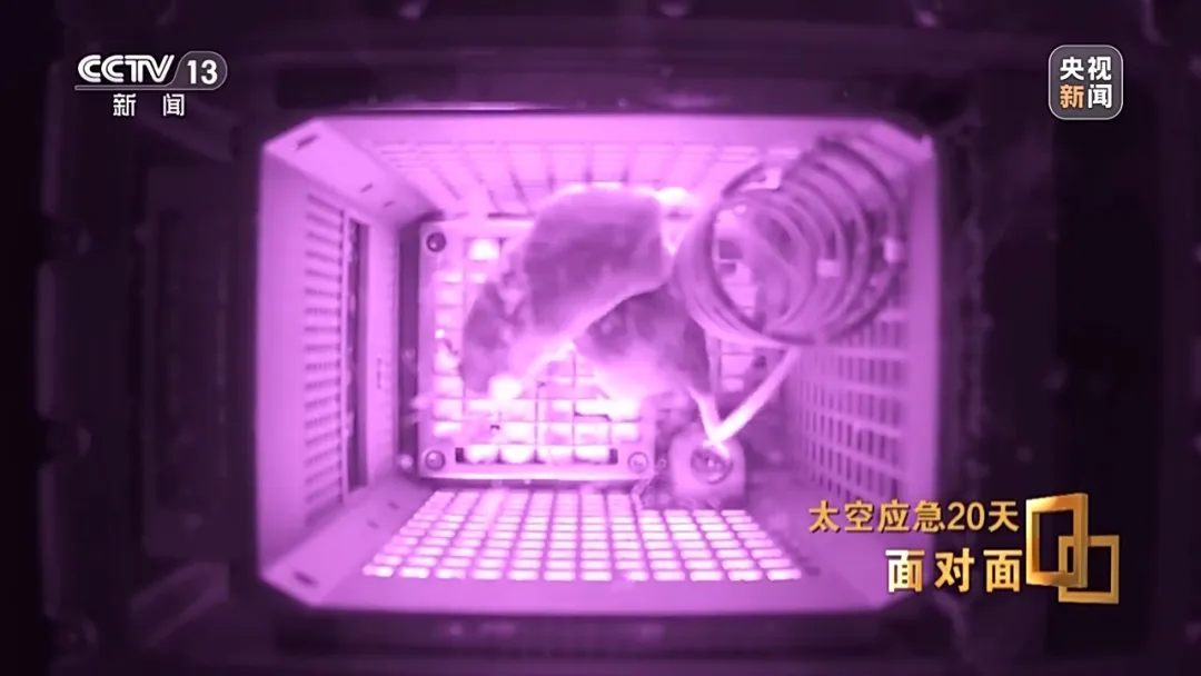 央视揭秘太空应急20天：神二十返回舱玻璃裂纹呈三角形，初判为不足1毫米空间碎片撞击导致