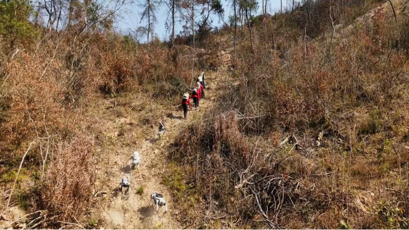 国家应急通信演练“通信使命-2025”“三断”极端情况下,低空装备大显神通 国家应急通信演练“通信使命-2025”“三断”极端情况下,低空装备大显神通