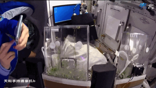 太空“出差”快两个月 神二十一乘组都做了哪些工作？