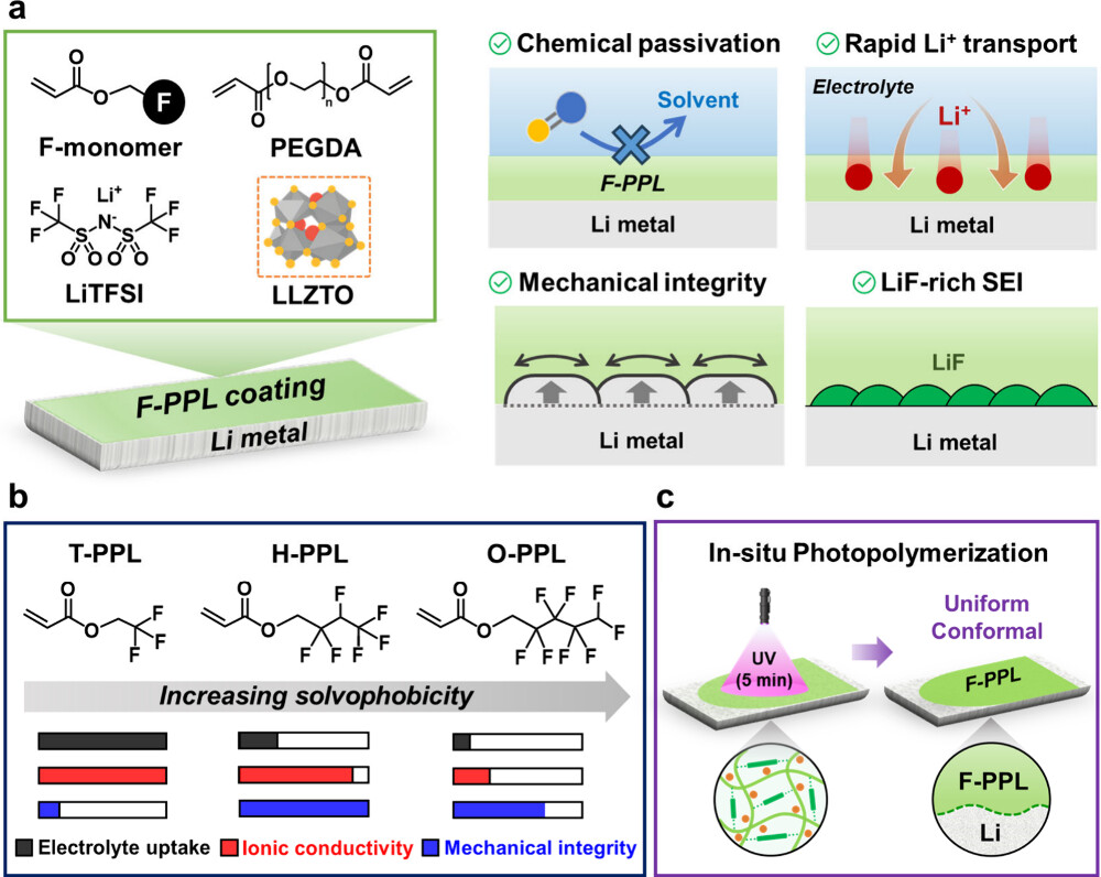 【复材资讯】调控氟化聚合物“疏溶剂性”，构筑高性能锂金属负极