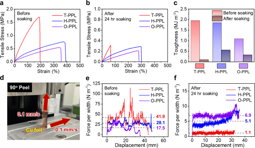 【复材资讯】调控氟化聚合物“疏溶剂性”，构筑高性能锂金属负极