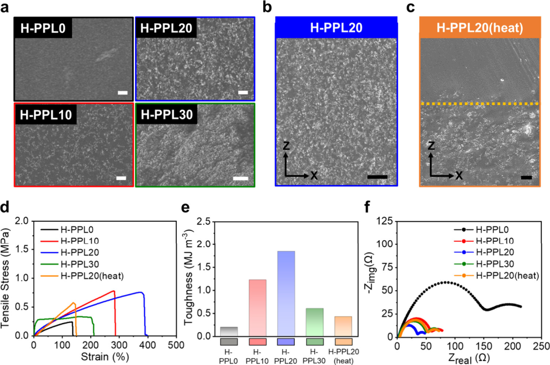 【复材资讯】调控氟化聚合物“疏溶剂性”，构筑高性能锂金属负极
