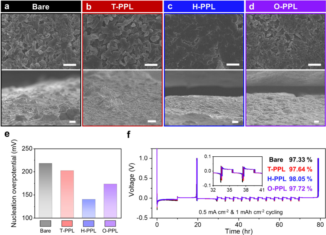 【复材资讯】调控氟化聚合物“疏溶剂性”，构筑高性能锂金属负极