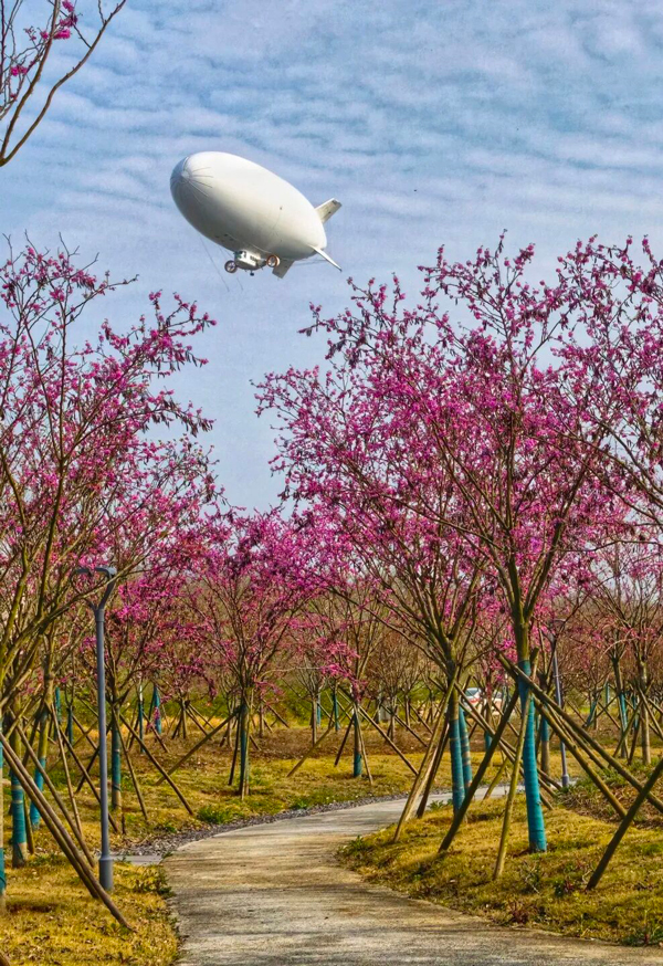 全员合格！国内首批自主培养飞艇商用驾驶员执照实践考试圆满完成